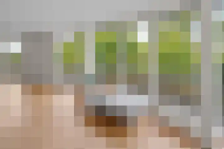 Mariaplein 51 Roosendaal thumbnail 8