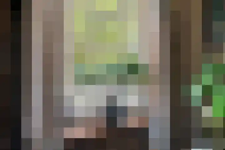 Mariapolder 19 Strijensas thumbnail 12