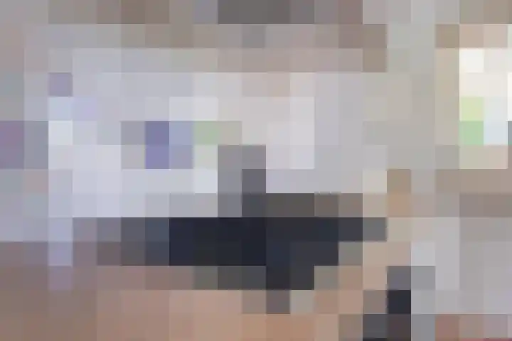 Mariapolder 19 Strijensas thumbnail 17