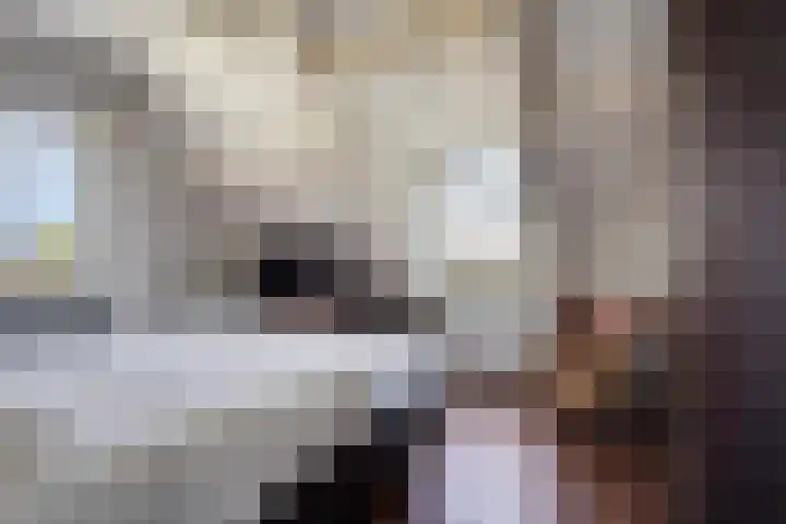 Mariapolder 19 Strijensas thumbnail 20