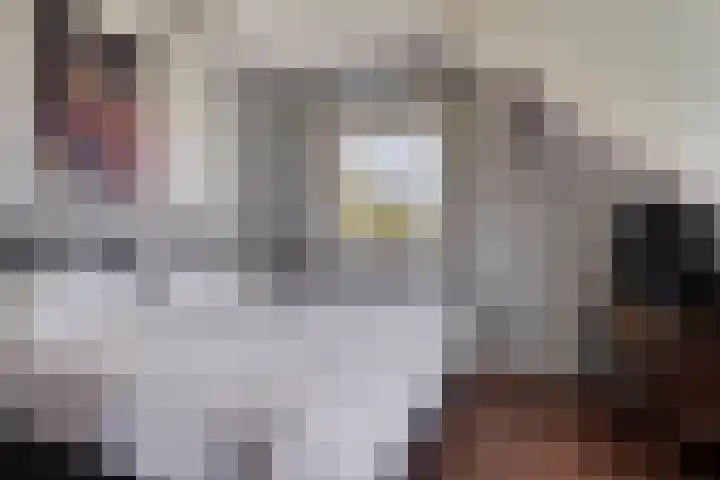 Mariapolder 19 Strijensas thumbnail 21