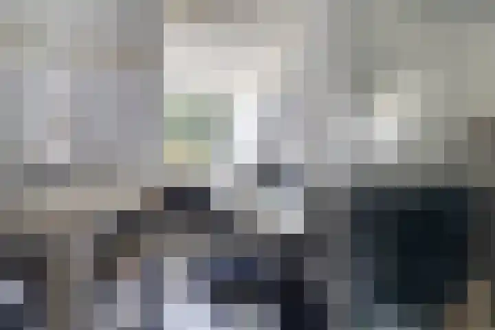 Mariapolder 19 Strijensas thumbnail 22