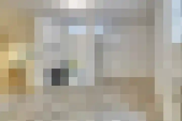 Mariapolder 19 Strijensas thumbnail 30
