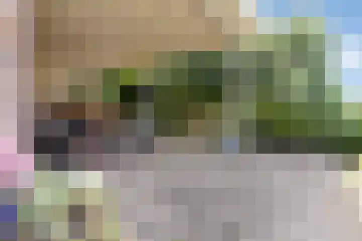 Mariapolder 19 Strijensas thumbnail 36