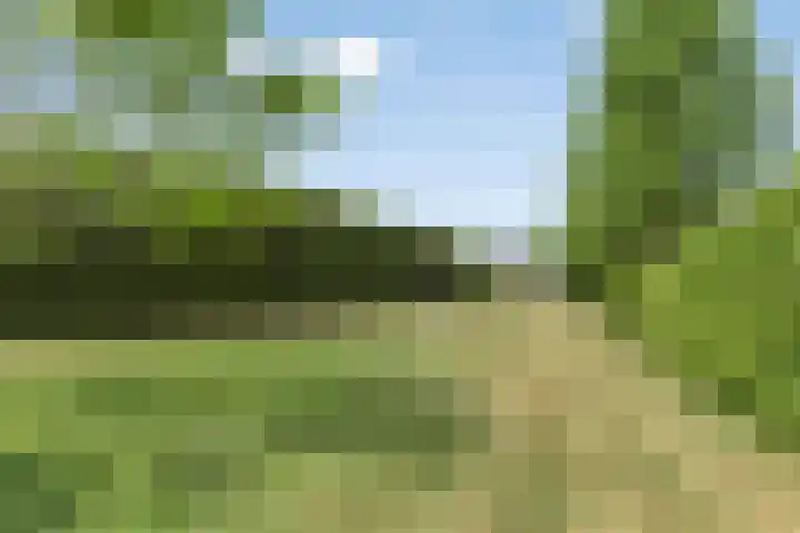 Mariapolder 19 Strijensas thumbnail 39