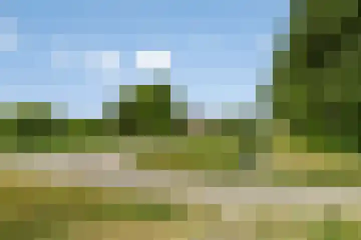 Mariapolder 19 Strijensas thumbnail 40