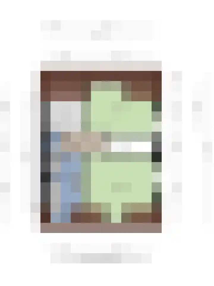 Mariapolder 19 Strijensas thumbnail 44