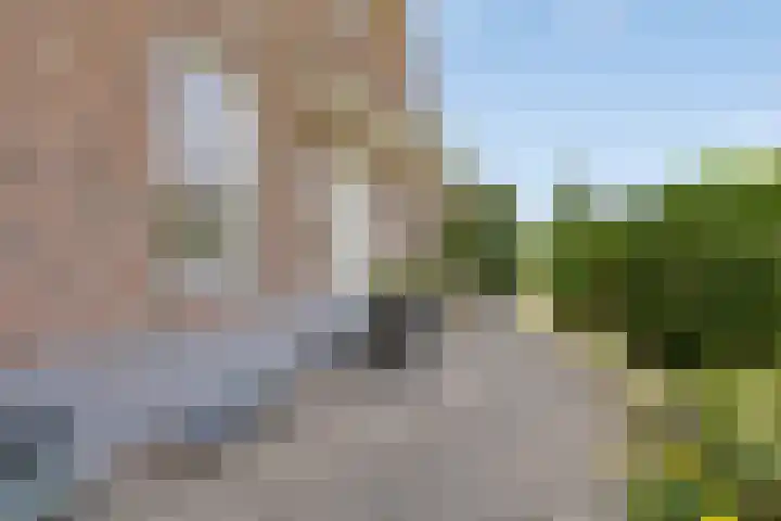 Mariapolder 19 Strijensas thumbnail 6