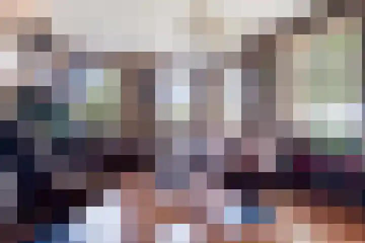 Mariapolder 19 Strijensas thumbnail 8