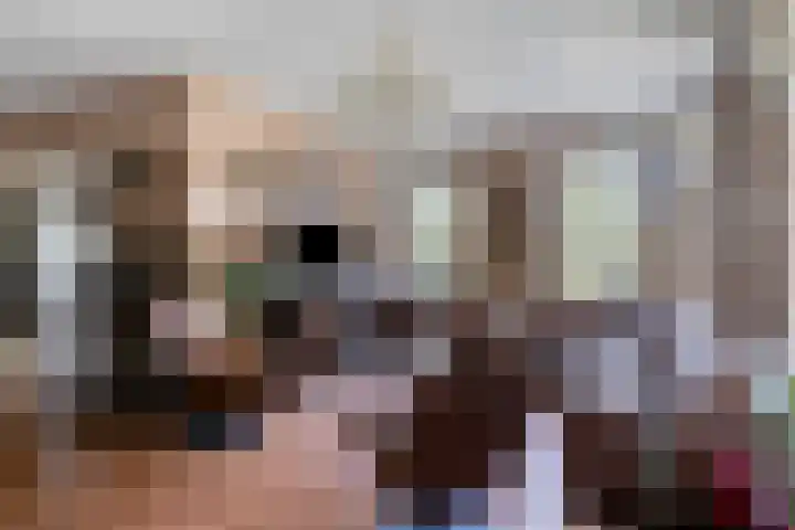 Mariapolder 19 Strijensas thumbnail 9