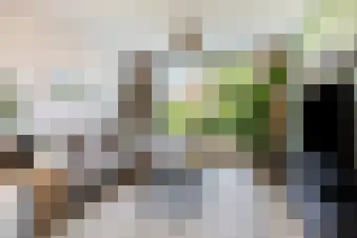 Mariastraat 11 Rhoon thumbnail 11