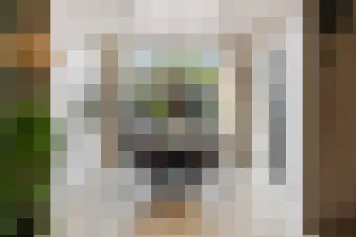 Mariastraat 11 Rhoon thumbnail 13