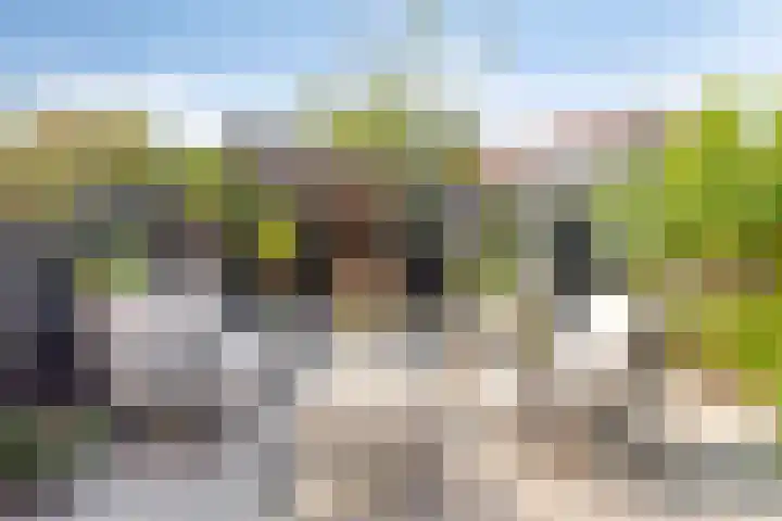 Mariastraat 11 Rhoon thumbnail 15