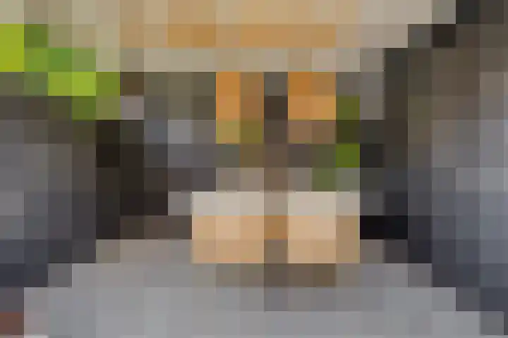 Mariastraat 11 Rhoon thumbnail 17