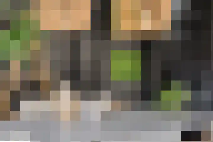 Mariastraat 11 Rhoon thumbnail 18