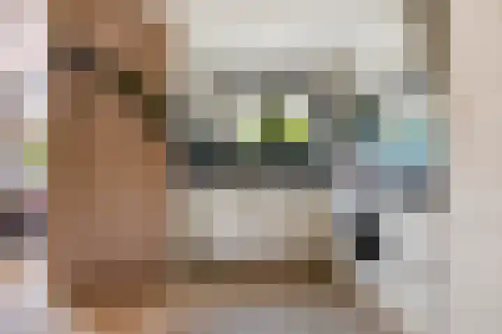 Mariastraat 11 Rhoon thumbnail 22