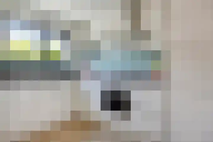 Mariastraat 11 Rhoon thumbnail 23