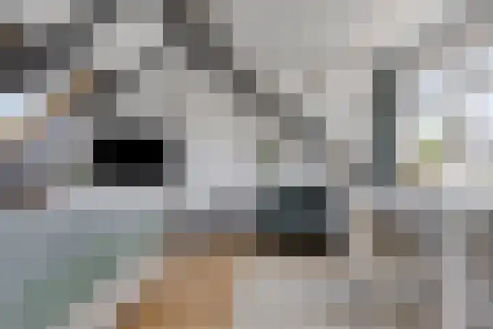 Mariastraat 11 Rhoon thumbnail 33