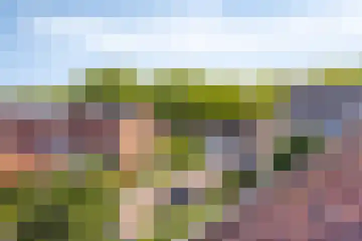Mariastraat 11 Rhoon thumbnail 35