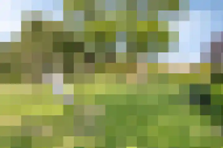 Mariastraat 11 Rhoon thumbnail 37