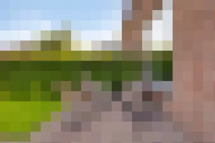 Mariastraat 11 Rhoon thumbnail 6