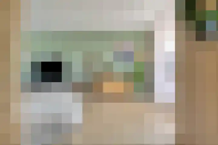 Mariastraat 11 Rhoon thumbnail 9