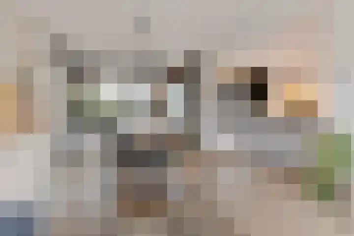 Mariastraat 11 Rijen thumbnail 11