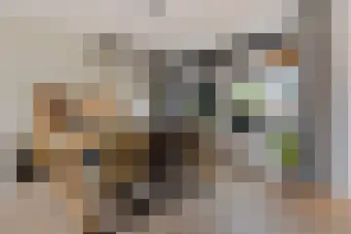 Mariastraat 11 Rijen thumbnail 14