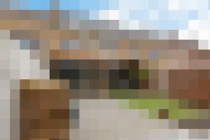 Mariastraat 11 Rijen thumbnail 36