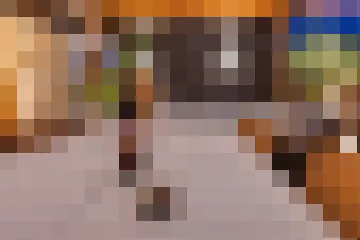 Mariastraat 11 Rijen thumbnail 4