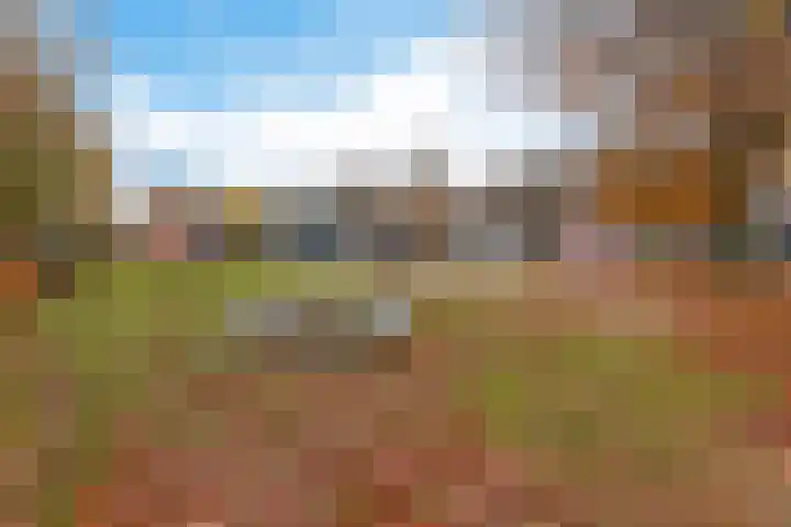 Mariastraat 11 Rijen thumbnail 7