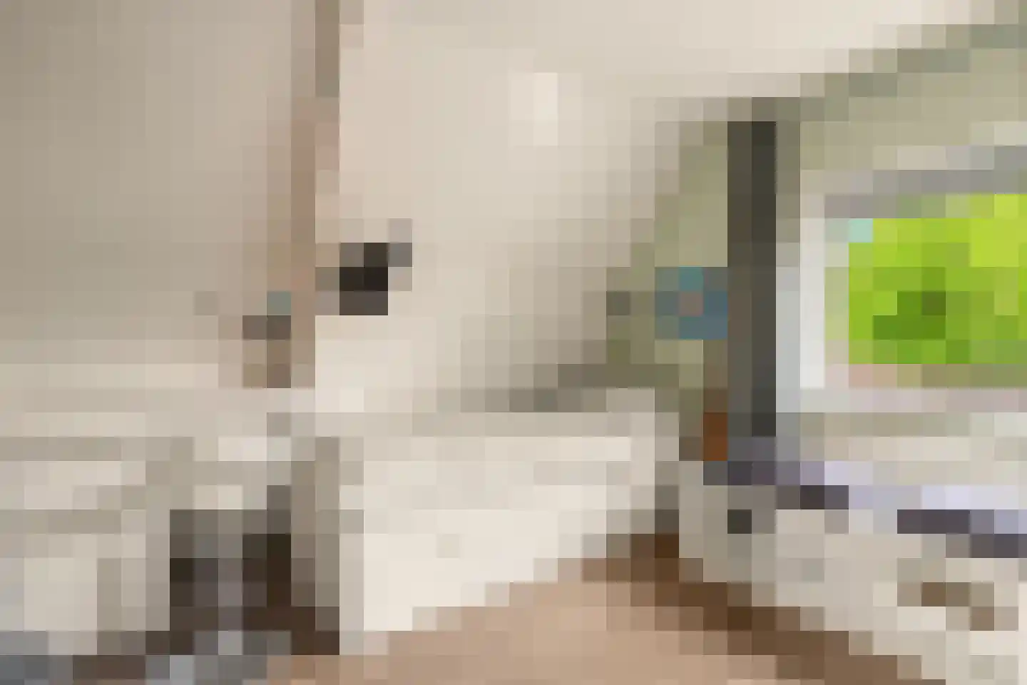 Mariastraat 11 Wormer thumbnail 17