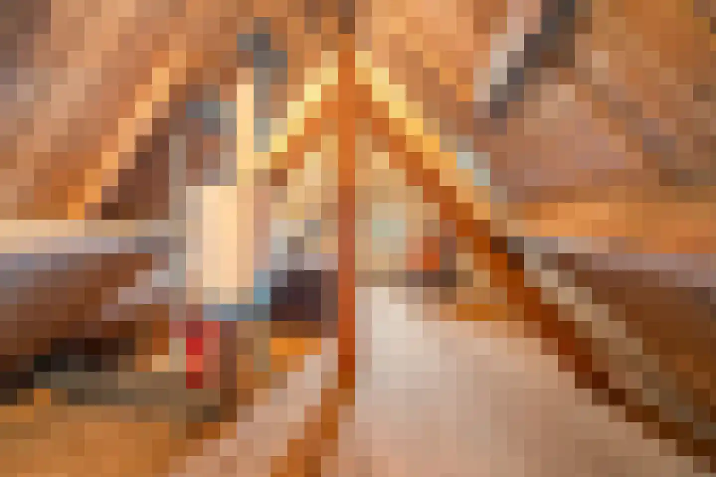 Mariastraat 11 Wormer thumbnail 23