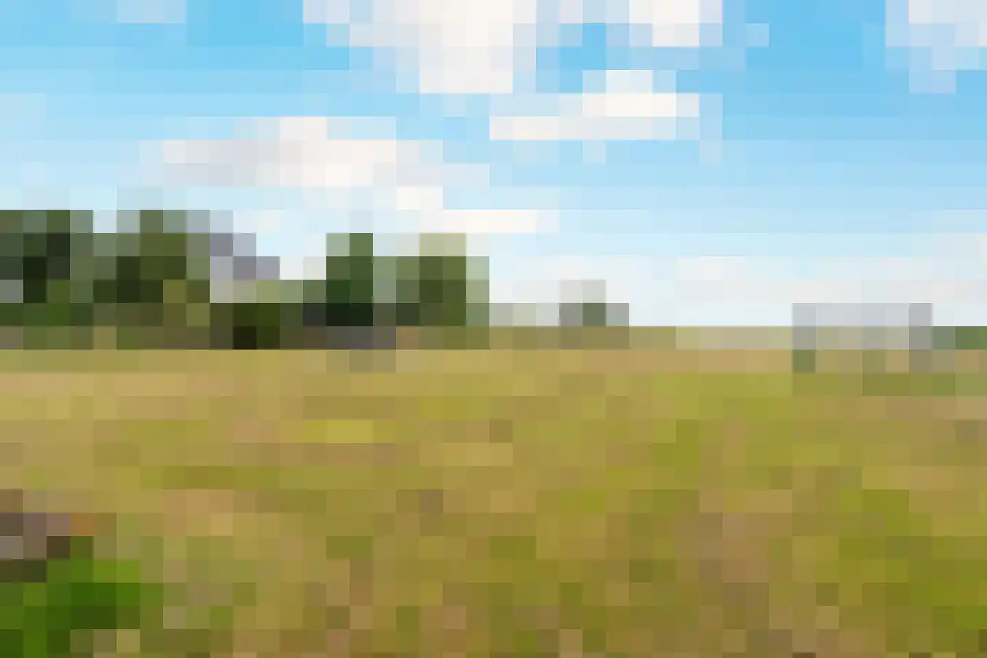 Mariastraat 11 Wormer thumbnail 32
