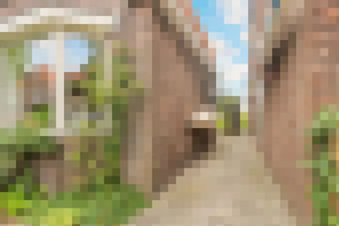 Mariastraat 11 Wormer thumbnail 36