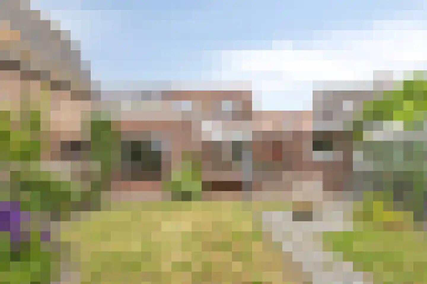 Mariastraat 11 Zuidzande thumbnail 31