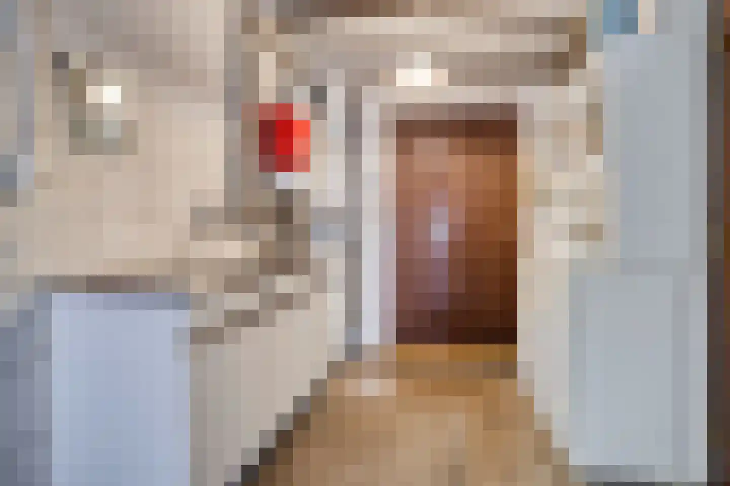 Mariastraat 11 Zuidzande thumbnail 37
