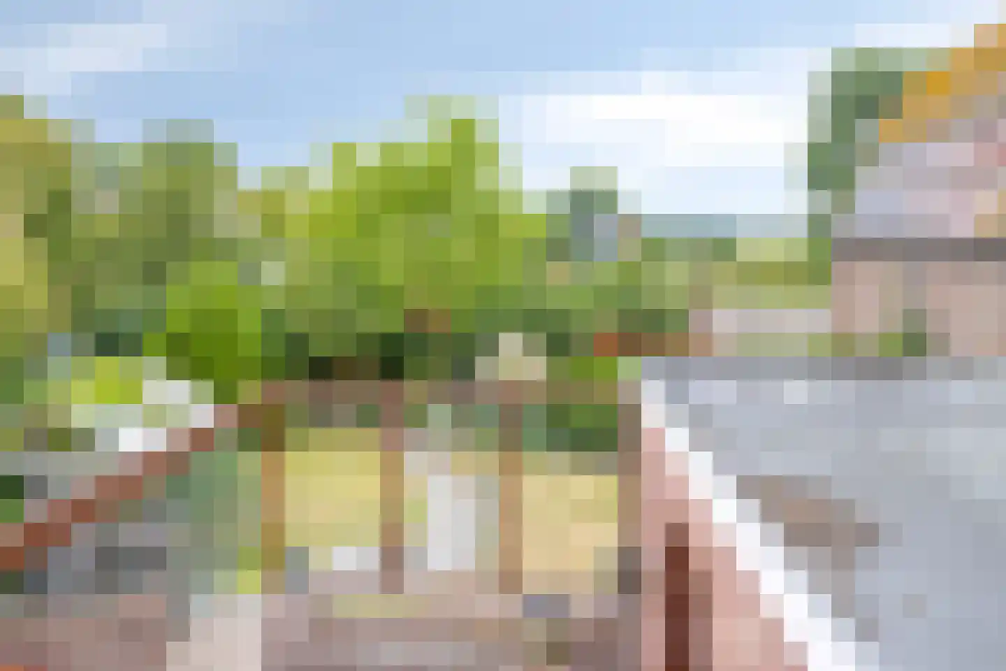 Mariastraat 11 Zuidzande thumbnail 41