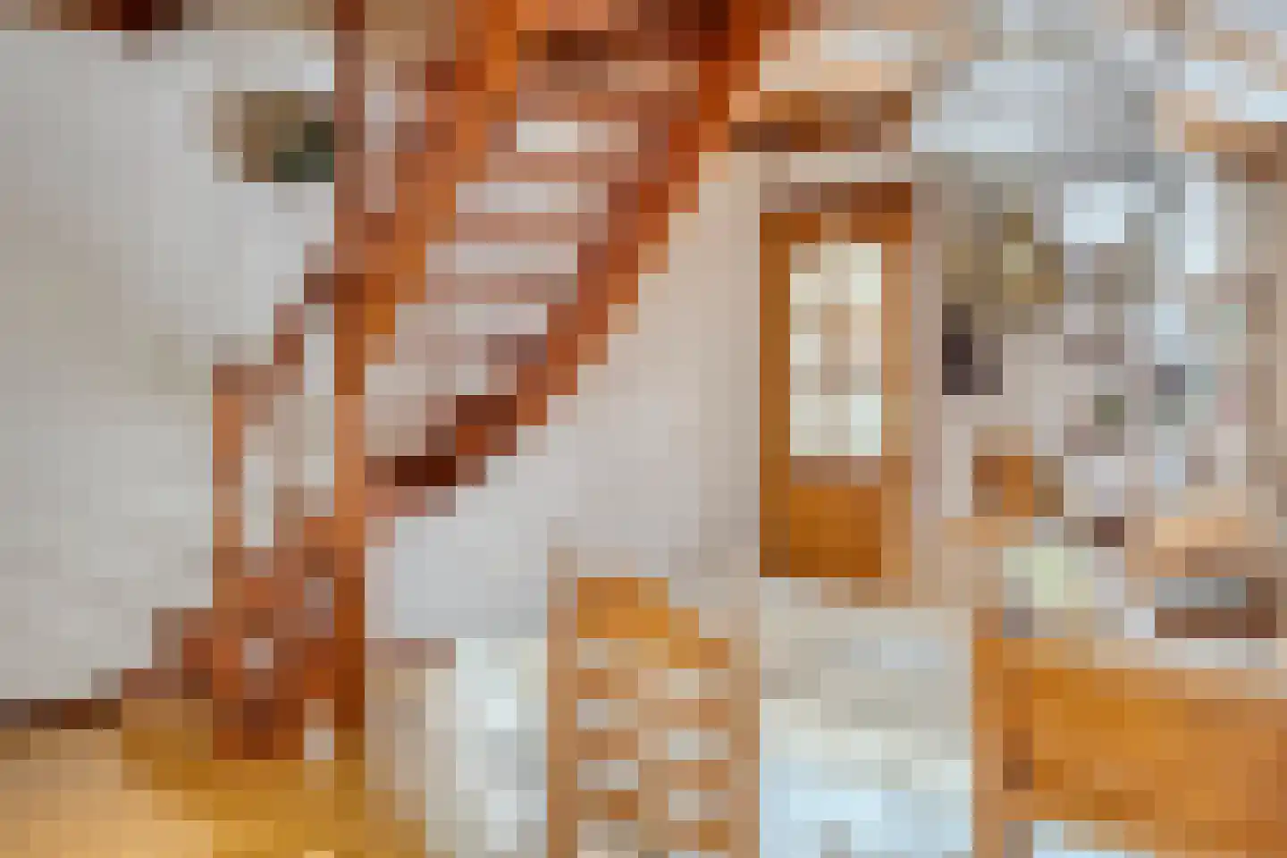 Mariastraat 11 Zuidzande thumbnail 5