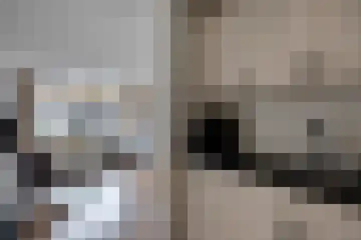Mariastraat 12 Apeldoorn thumbnail 11