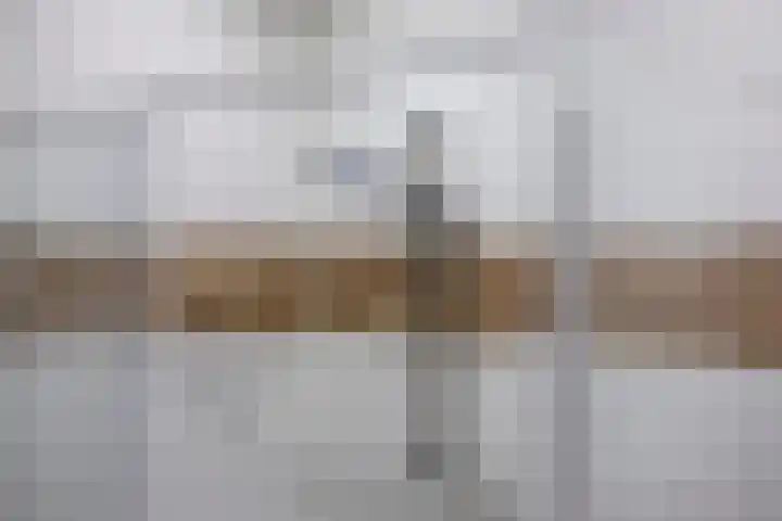 Mariastraat 12 Apeldoorn thumbnail 22