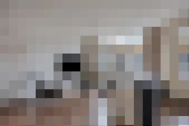 Mariastraat 12 Apeldoorn thumbnail 5