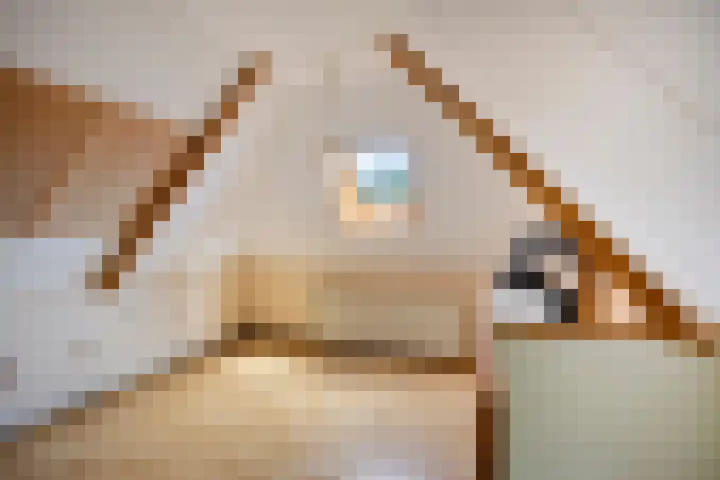 Mariastraat 12 Koog aan de Zaan thumbnail 23