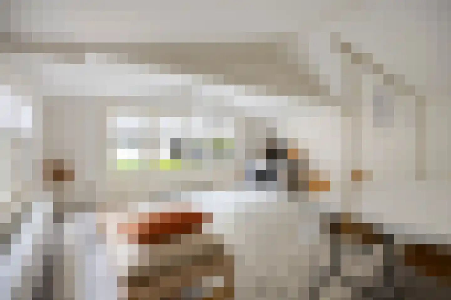 Mariastraat 12 Koog aan de Zaan thumbnail 32