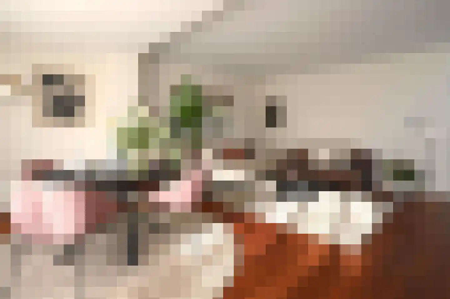 Mariastraat 12 Soest thumbnail 10
