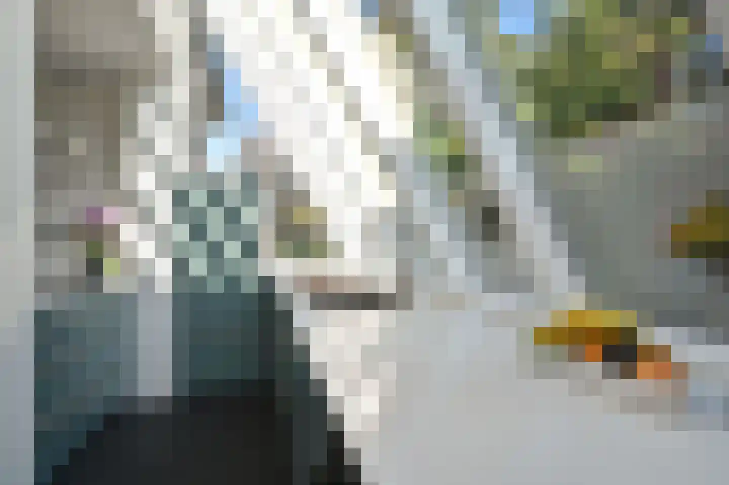 Mariastraat 12 Soest thumbnail 13