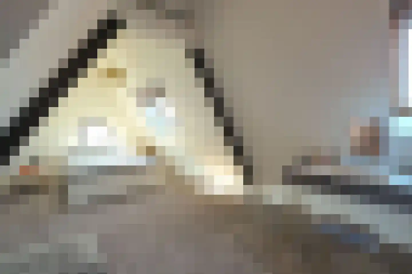Mariastraat 12 Soest thumbnail 25