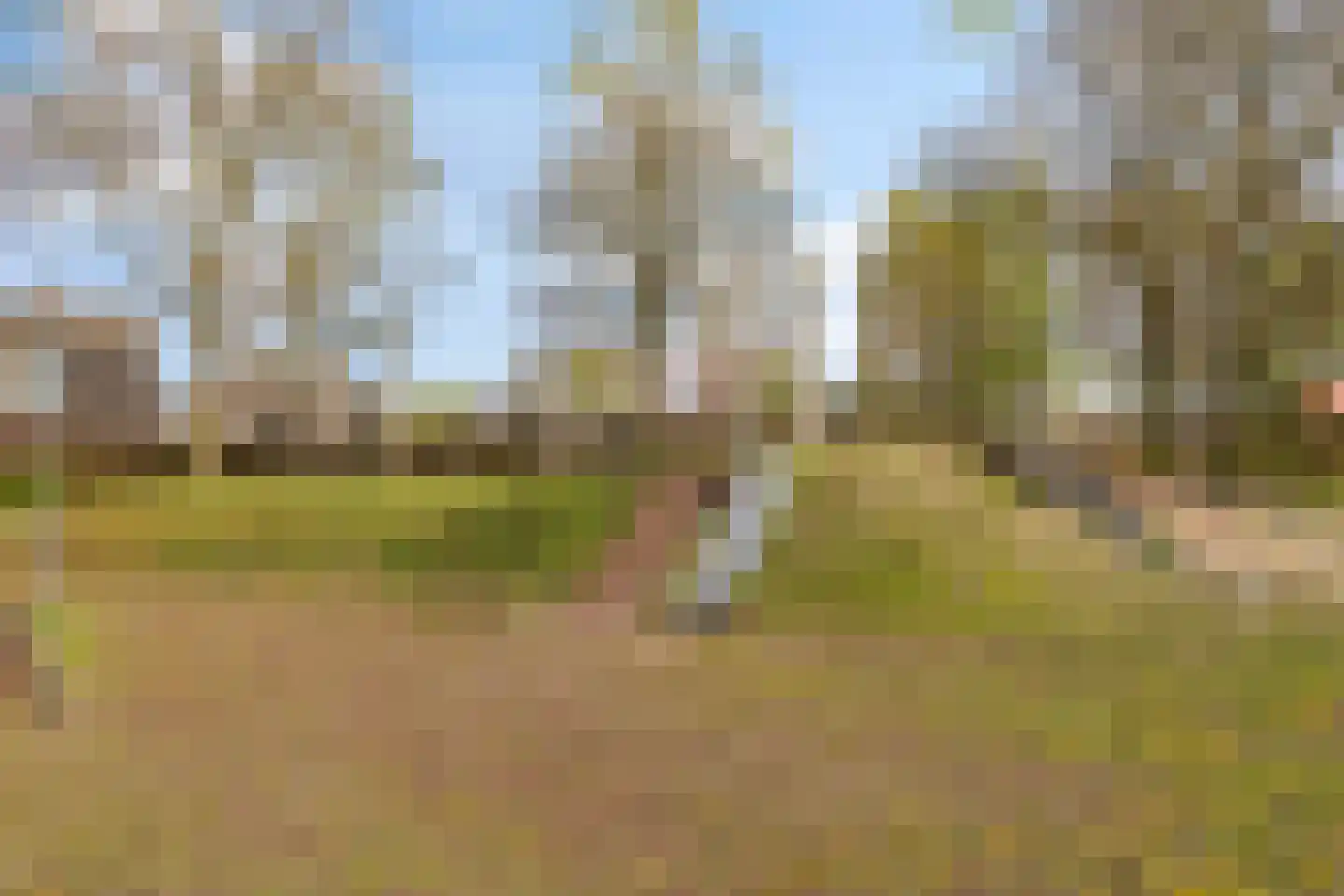 Mariastraat 18 Aarle-Rixtel thumbnail 43