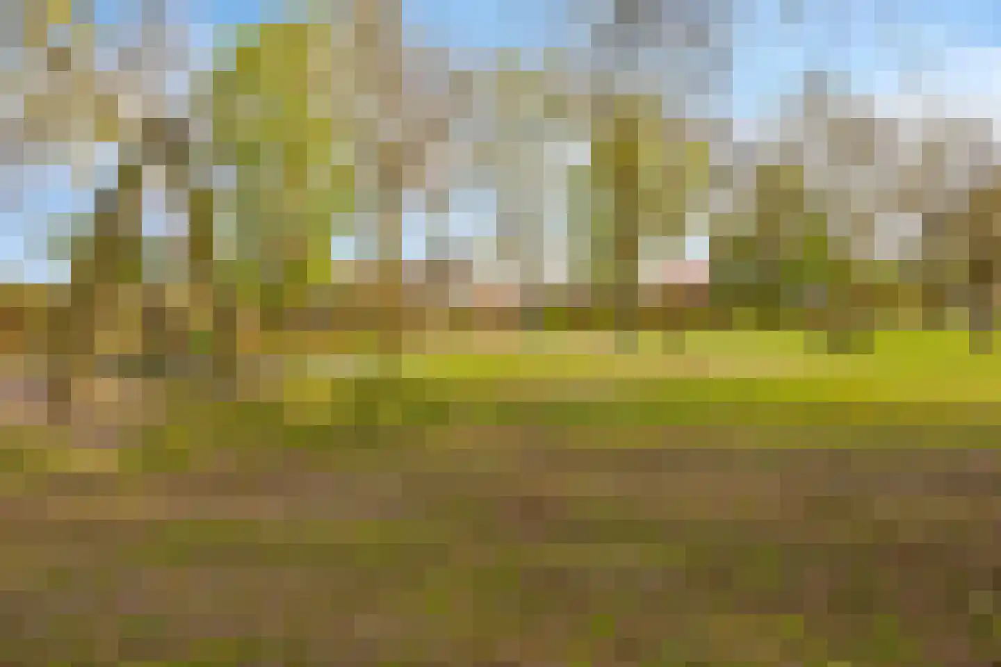Mariastraat 18 Aarle-Rixtel thumbnail 45