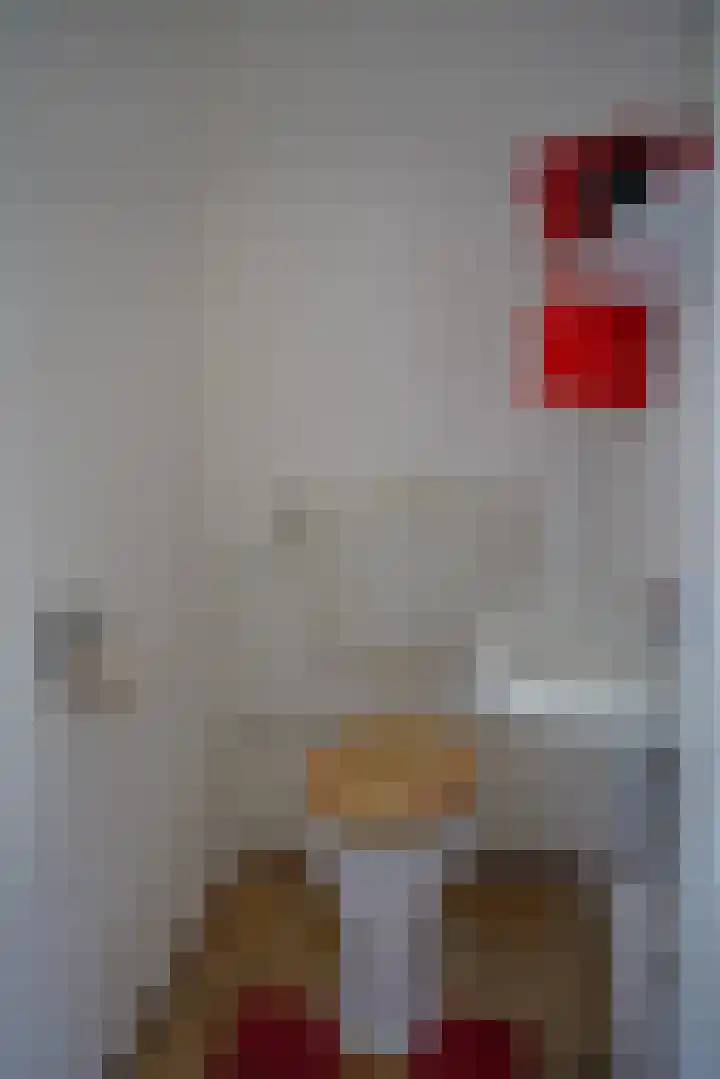 Mariastraat 18 Zuidzande thumbnail 16